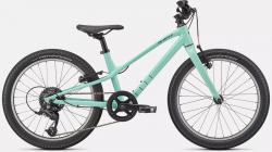 SPECIALIZED JETT 20 Gloss Oasis / Forest Green