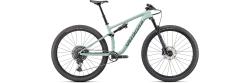 Specialized EPIC EVO COMP - Gloss Ca White Sage / Sage Green