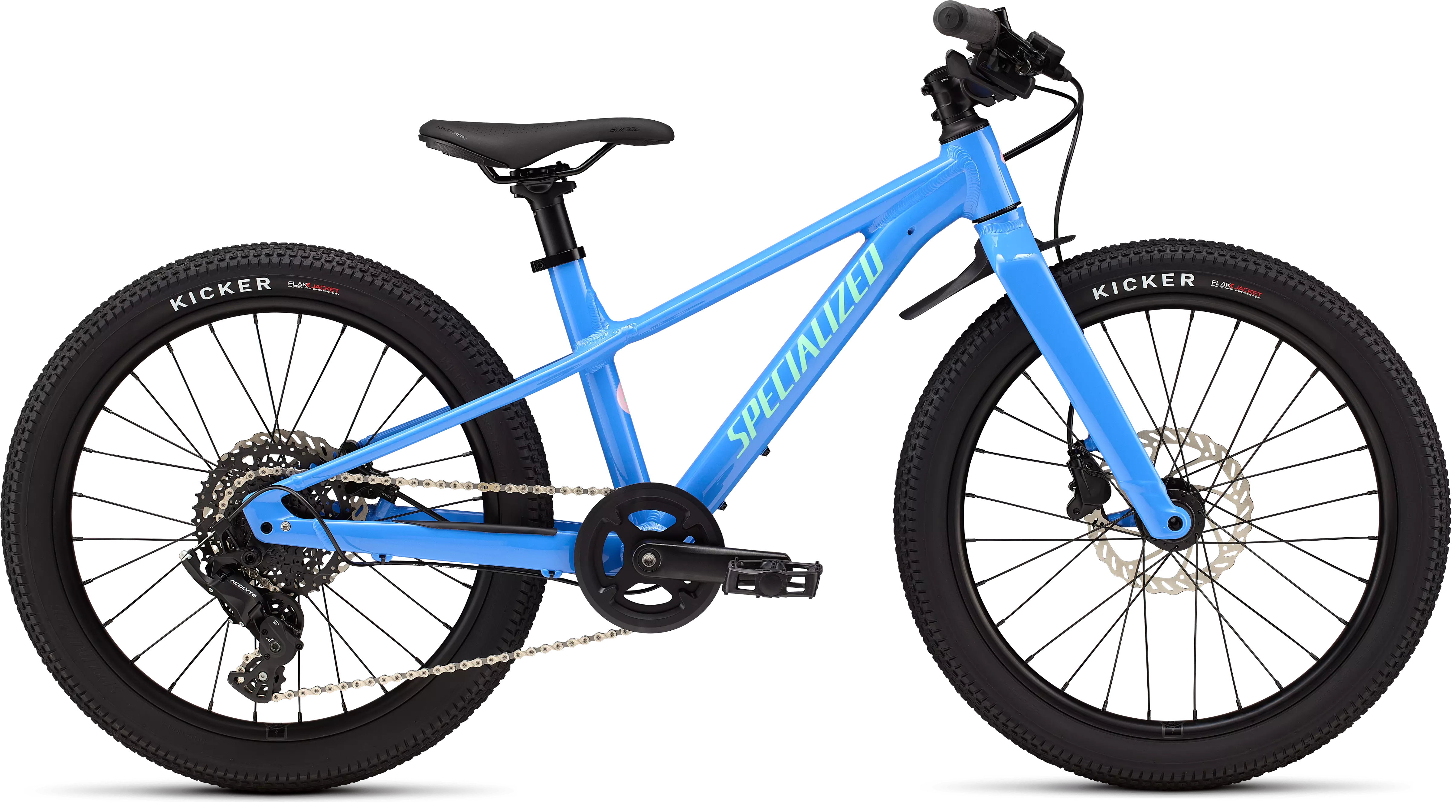 SPECIALIZED Riprock 20 Gloss Sky Blue / Oasis and Desert Rose