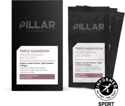 Triple Magnesium Powder Natural Berry (vrecko)